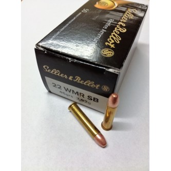 .22LR S&B WMR