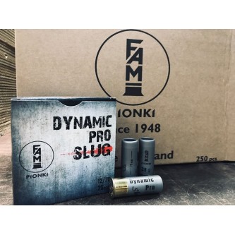 12/70 DYNAMIC PRO SLUG 28
